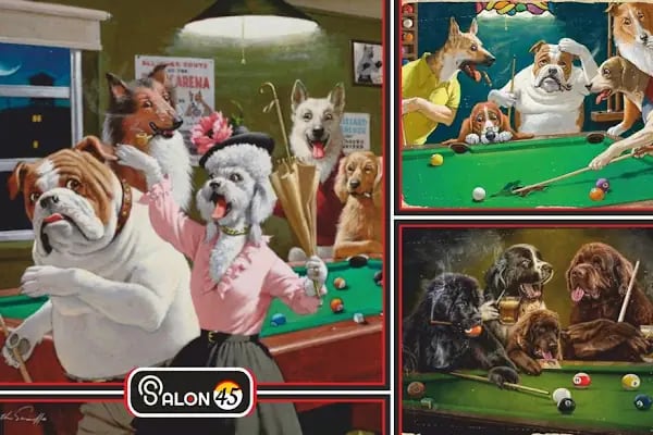 Salon45 Bilardo - Resim 12