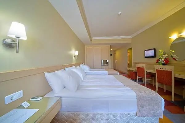 Sv Business Hotel Diyarbakır - Resim 2