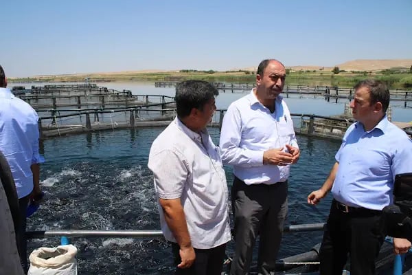 TUNÇ ALABALIK SU ÜRN. ÜRT VE PAZ.TİC.LTD.ŞTİ - Resim 4