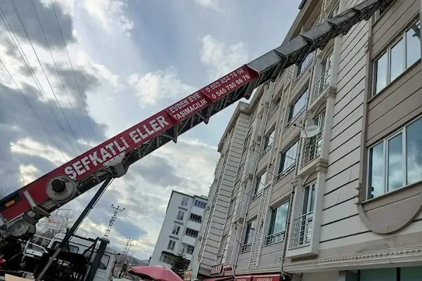 Afşin Evden Eve Taşımacılık Şefkatli Eller - Resim 4