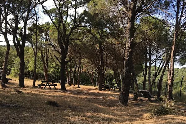 tayakadın mesire alanı 2 - Resim 2
