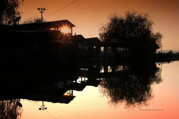 Sardunya Restaurant&amp;Cafe - Resim 20