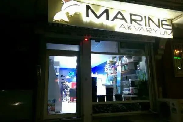 MARINE AKVARYUM SISTEMLERI - Resim 12