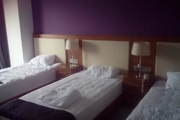 Business Palas Otel - Resim 9