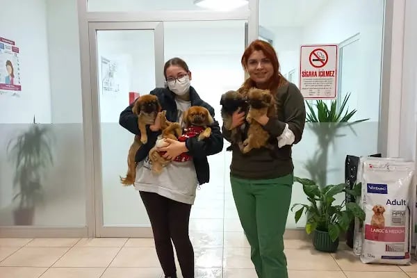 Gisa Veteriner Kliniği I Nilüfer Veteriner | Osmangazi Veteriner | Mudanya Veteriner - Resim 6