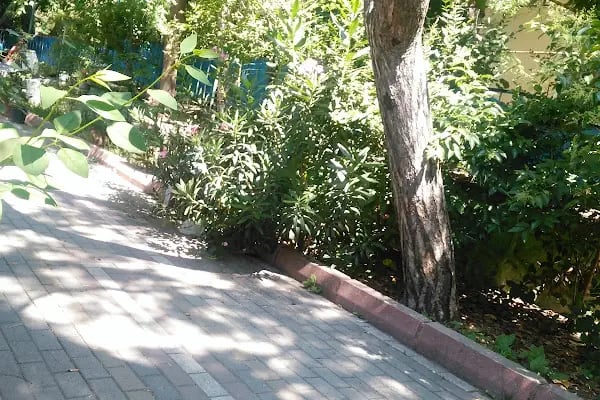 Muhsin Yazıcıoğlu Gençlik Parkı - Resim 3