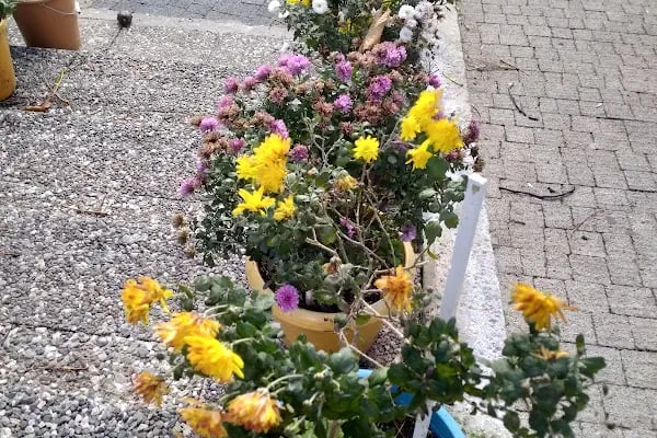 Muhsin Yazıcıoğlu Gençlik Parkı - Resim 17