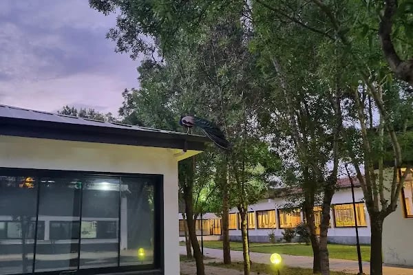 Travnik Two Cafe - Resim 12