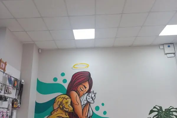 Keçiören Patiska Veteriner Kliniği - Resim 15