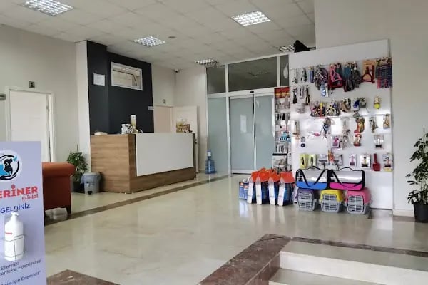Keçiören Patiska Veteriner Kliniği - Resim 8
