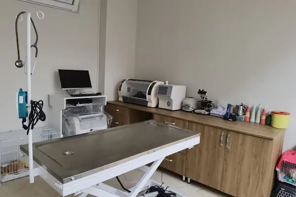 Keçiören Patiska Veteriner Kliniği - Resim 4