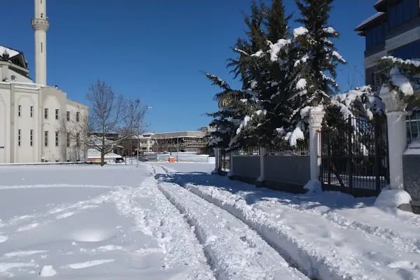 Gaziantep Fizyomer Özel Eğitim Ve Rehabilitasyon Merkezi - Resim 9