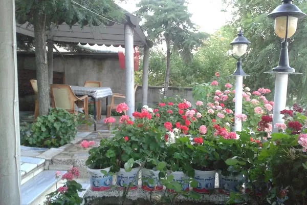 Muzdel cafe - Resim 8