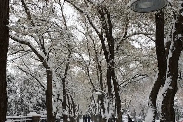 Musalla Halkabiköşk Cami - Resim 10
