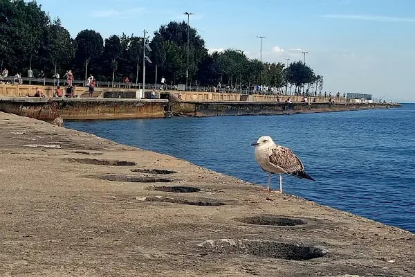 Caddebostan Plajı 2 - Resim 15
