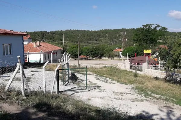 Ballısaray Mahallesi Yeni Merkez Camii - Resim 9