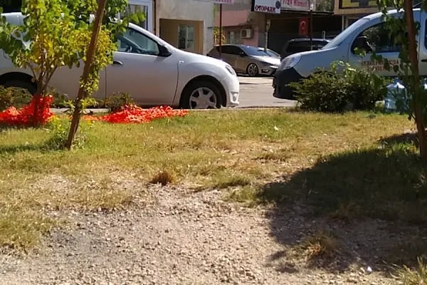 Sezgi Oto Kiralama - Resim 11