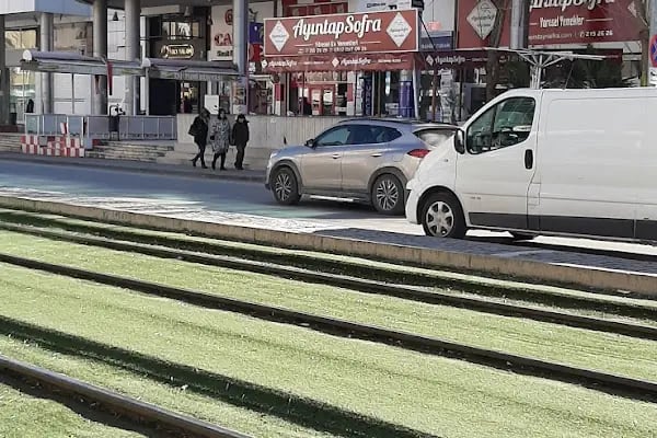 Ayintap Sofrası - Resim 2