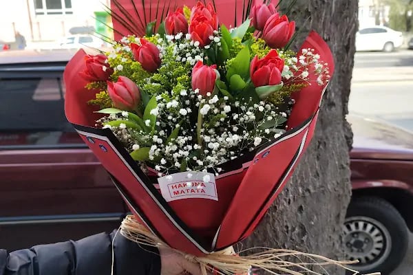 Çiçek Bahçesi - Resim 4