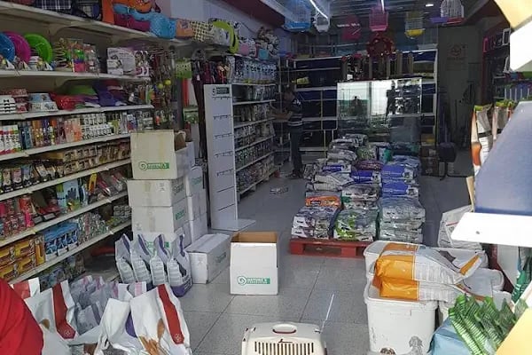 Yıldız Akvaryum & Petshop - Resim 6