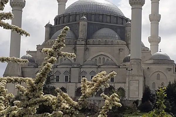 Ataşehir Belediyesi - Resim 7