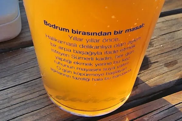 Pab Bodrum - Resim 13