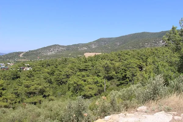 Usuluk Koyu Tabiat Parkı - Resim 5