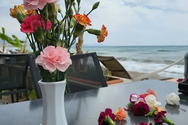 Flamingos Beach Club - Resim 15