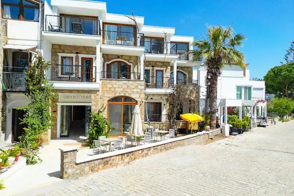 Asterina Hotel - Resim 1