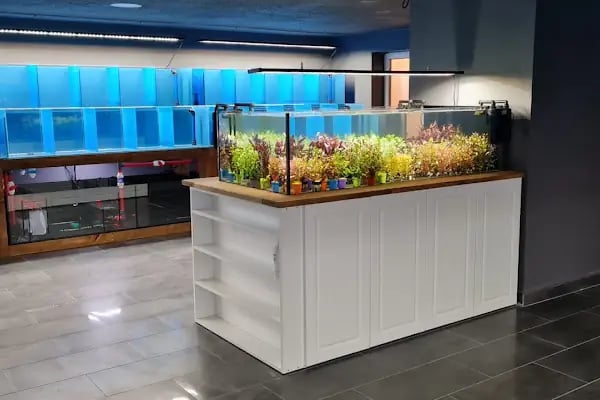 Yavuz Pet Shop - Resim 16