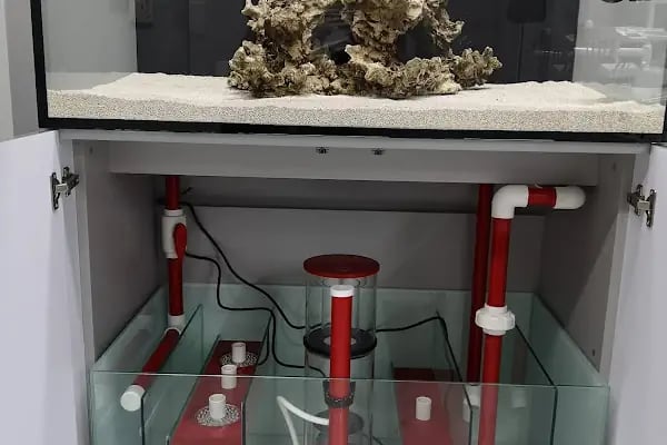Yavuz Pet Shop - Resim 19