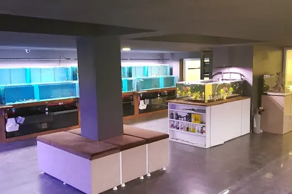Yavuz Pet Shop - Resim 15