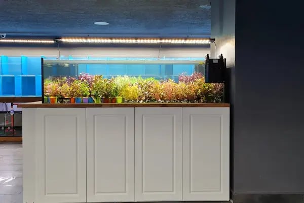 Yavuz Pet Shop - Resim 11