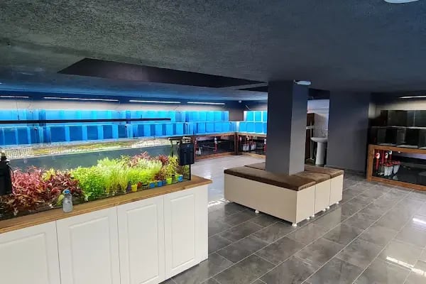 Yavuz Pet Shop - Resim 3