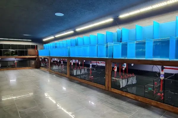 Yavuz Pet Shop - Resim 18