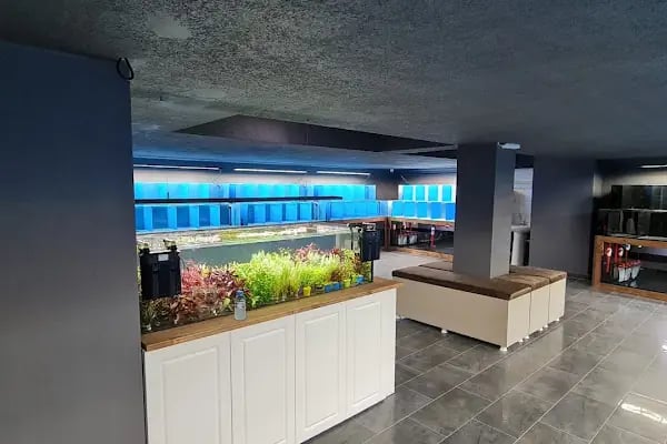 Yavuz Pet Shop - Resim 9