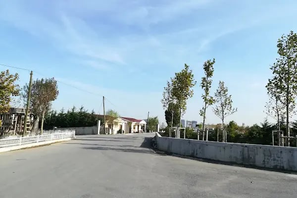 Gülbahçe Mezarlığı - Resim 20