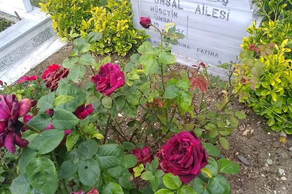 Gülbahçe Mezarlığı - Resim 13