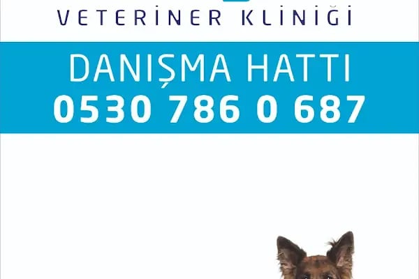 Servet Veteriner Kliniği - Resim 6