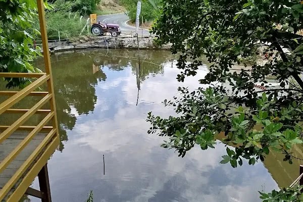 Şiringöl Restaurant Ve Kamp Alanı - Resim 12