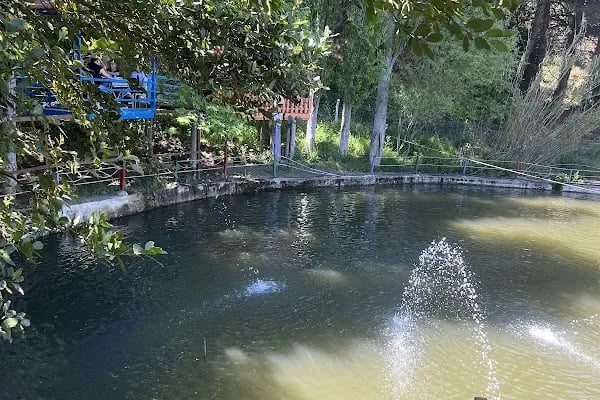 Şiringöl Restaurant Ve Kamp Alanı - Resim 14