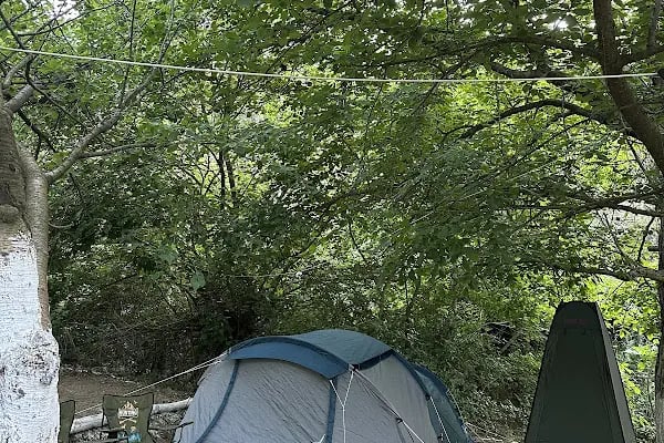Şiringöl Restaurant Ve Kamp Alanı - Resim 8