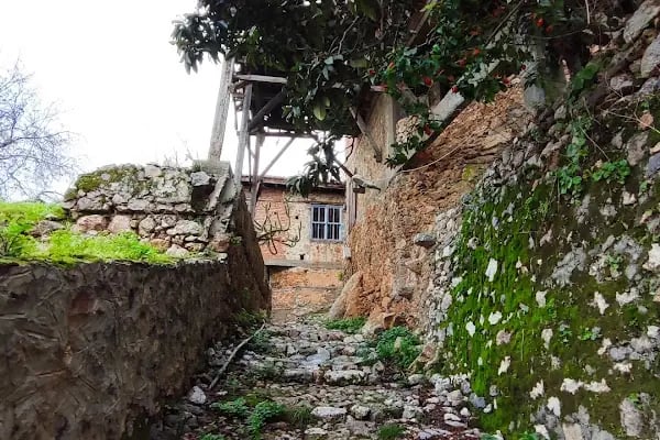 Tophane Mahallesi Muhtarlığı - Resim 18