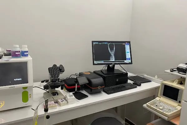 SO PATİ Veteriner Kliniği - Resim 13
