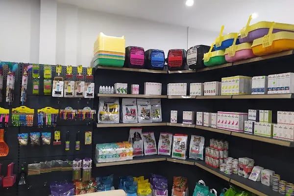 SO PATİ Veteriner Kliniği - Resim 4