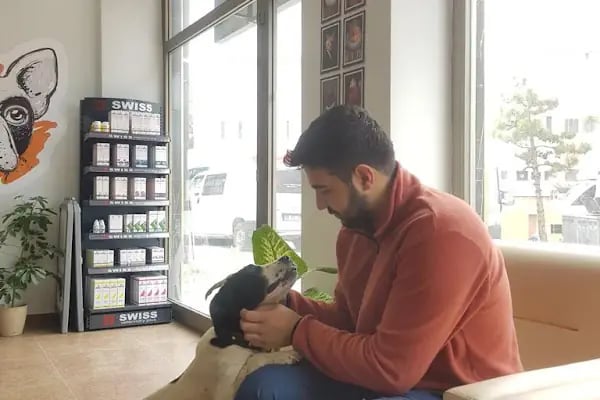 SO PATİ Veteriner Kliniği - Resim 19