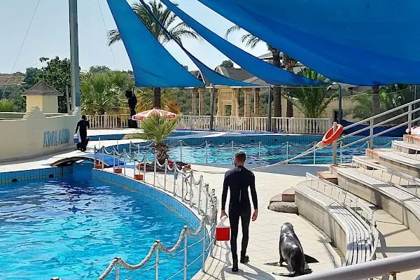 Adaland Aquapark - Resim 18