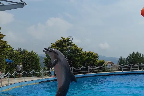 Adaland Aquapark - Resim 14