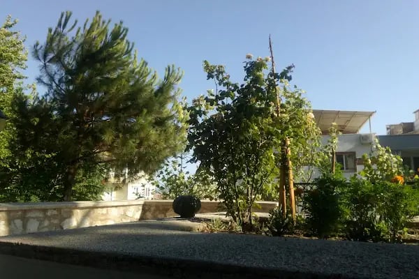 Hâki Baba Camii ve türbesi - Resim 8