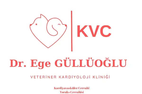 KVC Veteriner Kardiyoloji Kliniği - Resim 1